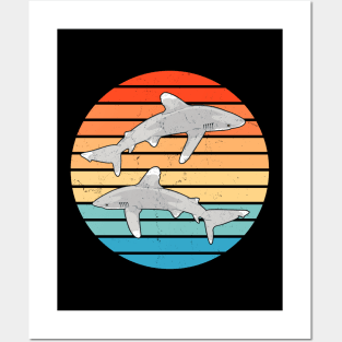 Oceanic Whitetip Posters and Art